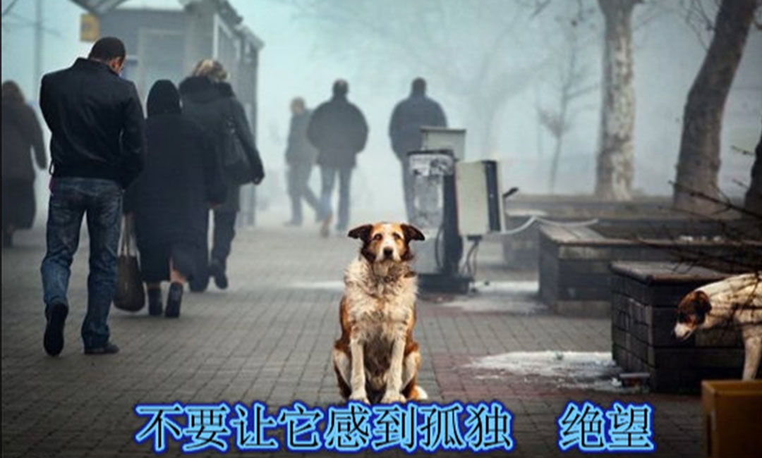 南京爱影圈微博微信转发案例