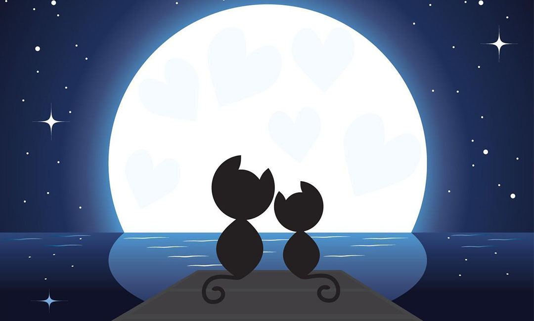 南京潮客汇微信活动策划案例